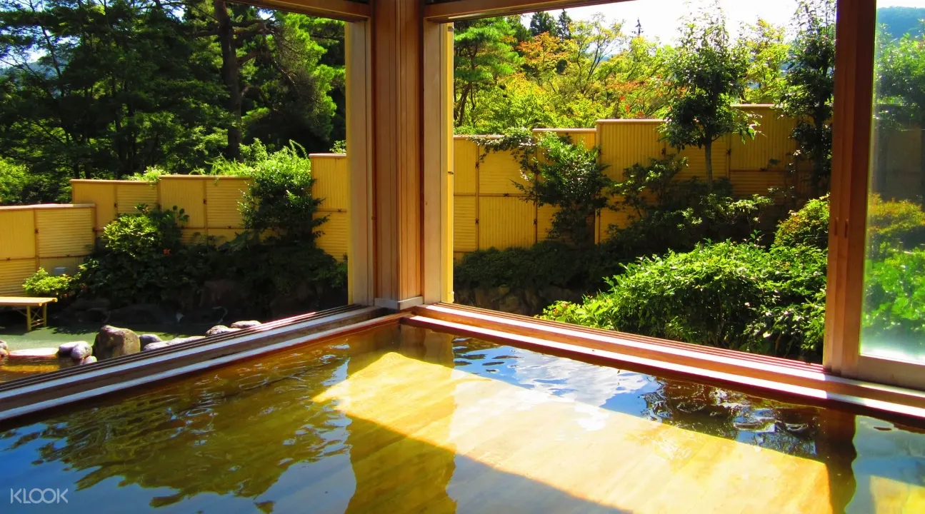 Hakone Kowakien Yunessun Hot Spring Theme Park One Day Ticket from